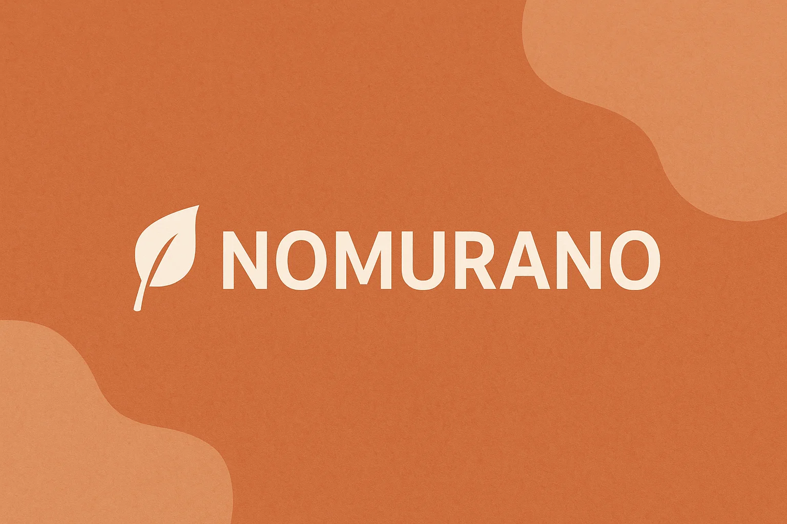 Understanding Nomurano: Deep Insights from Experience