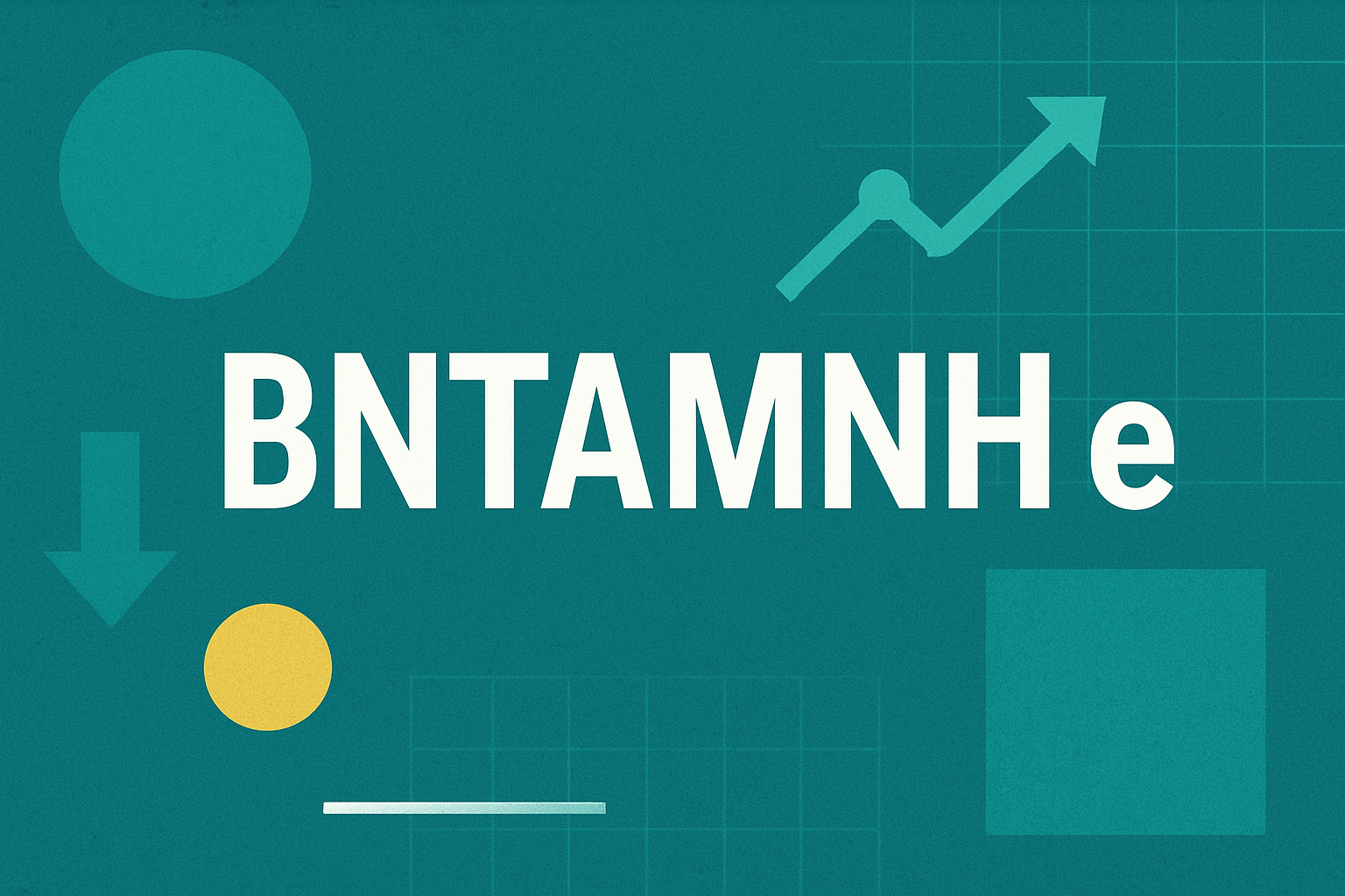 Bntamnh e: A Complete Guide to Understanding and Using It