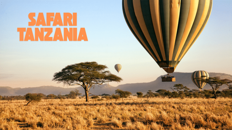 Top Mistakes to Avoid When Planning a Safari in Tanzania